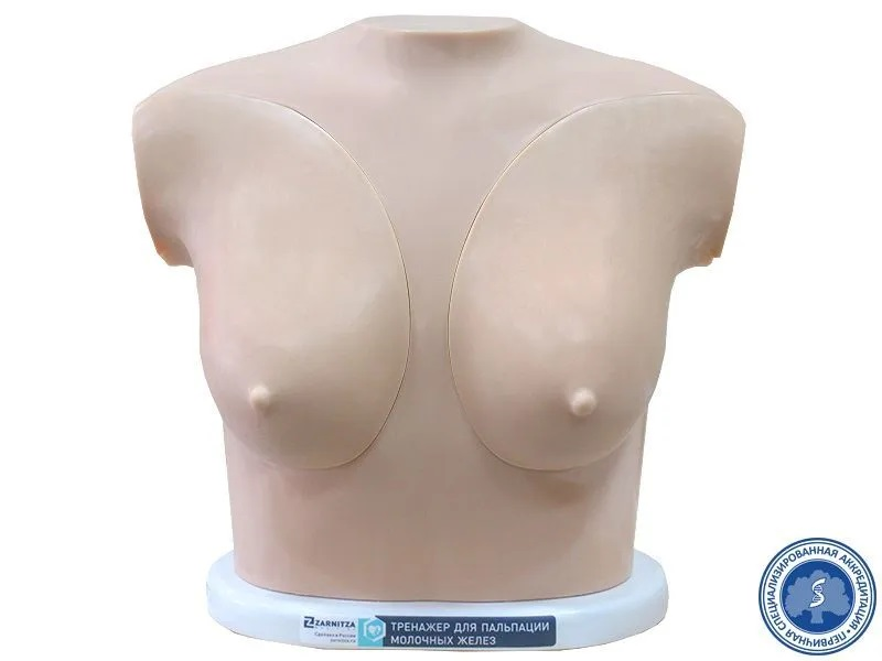 Breast palpation trainer Zarnitza
