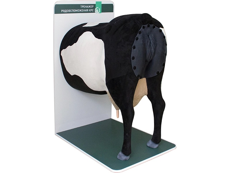 Cattle obstetrics simulator Zarnitza