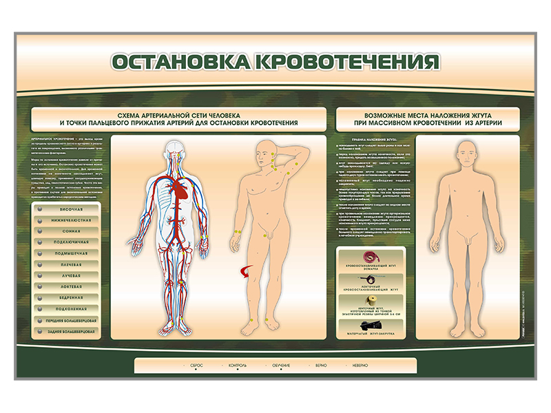 Электрифицированный стенд-тренажер Zarnitza "Остановка кровотечения"