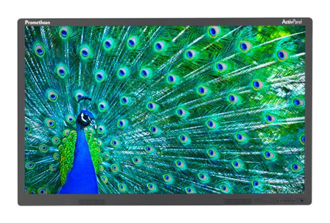 Интерактивный дисплей ActivPanel Touch 65", программное обеспечение ActivInspire Professional