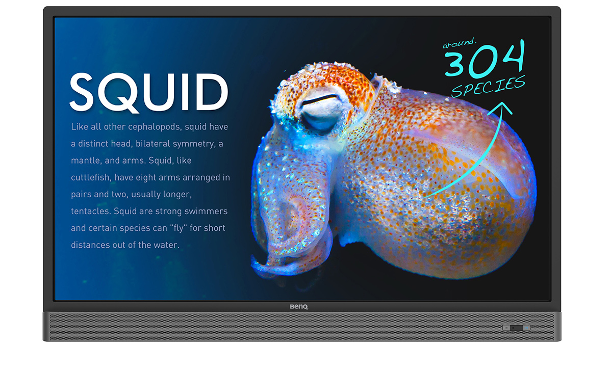 Interactive panel BENQ RP553K