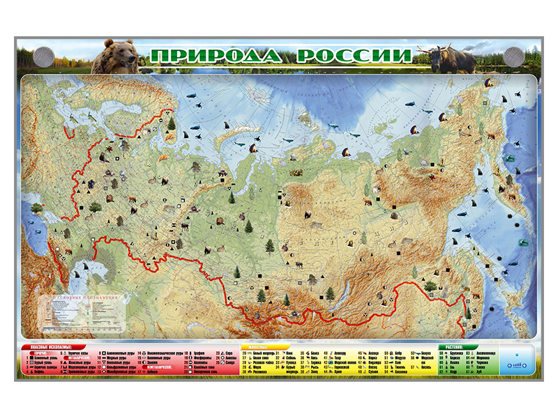 Электронно-информационный (маркерный) стенд "Природа России" Zarnitza