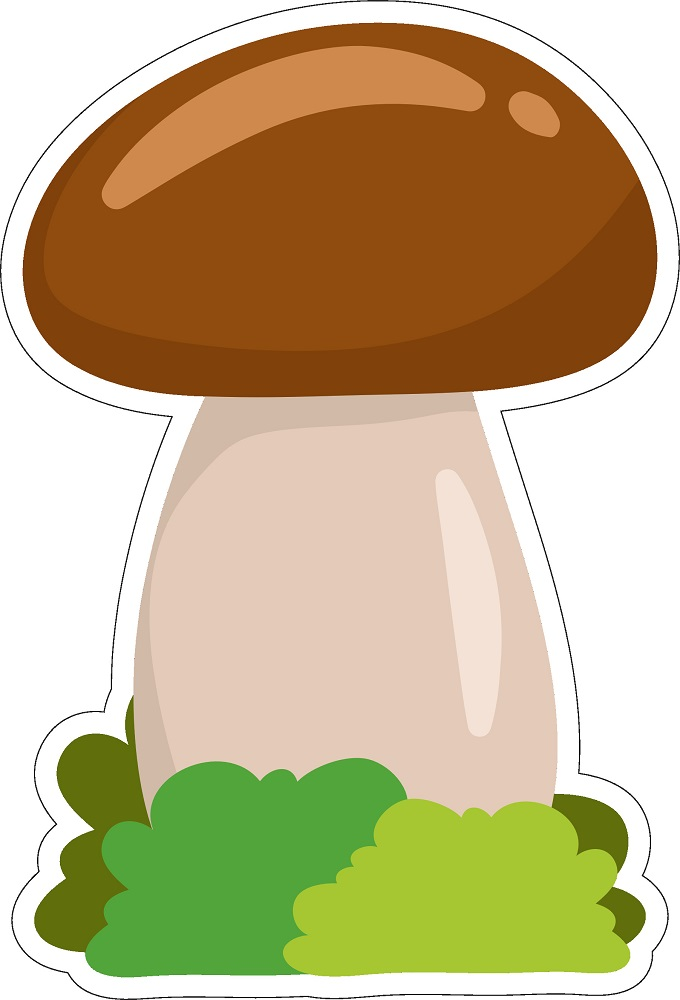 Logicus devor paneli "Boletus qo'ziqorini"
