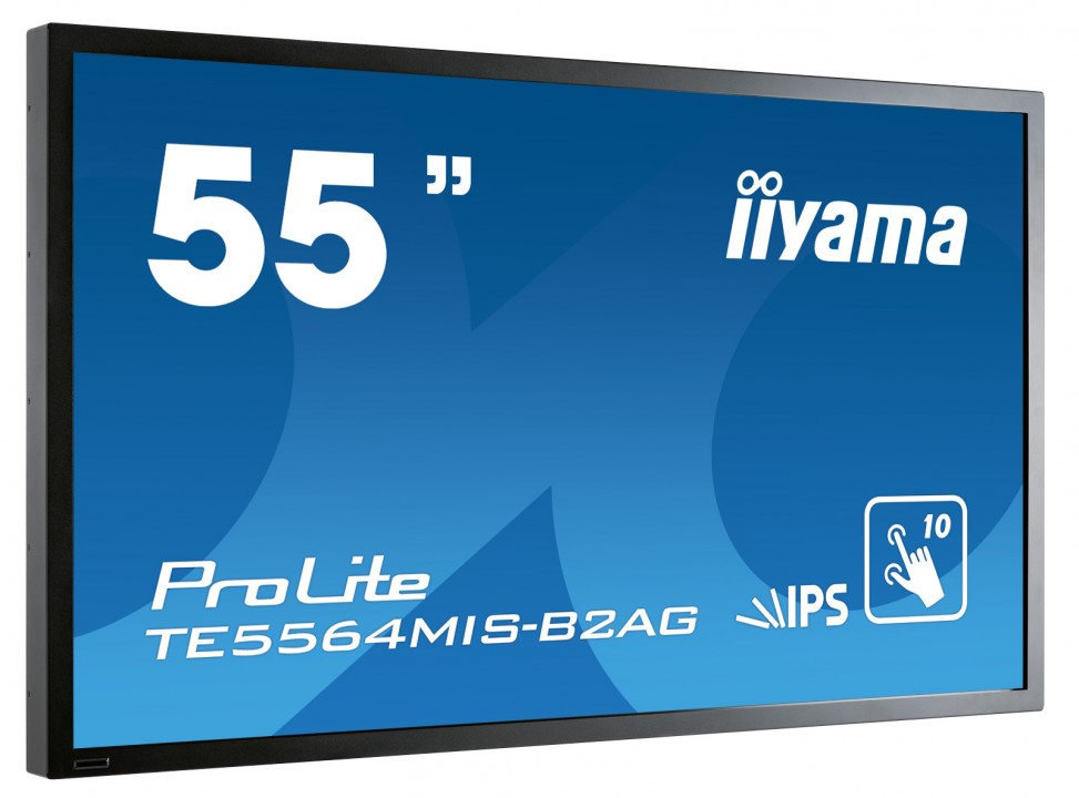 Professional panel Iiyama TE5564MIS-B2AG