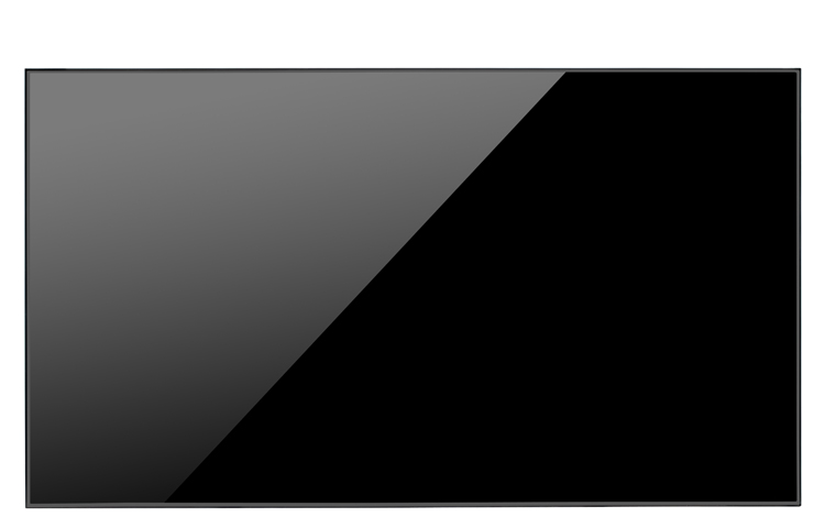 Professional panel LG 55WV70MD