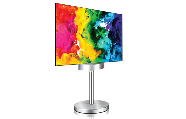 Professional panel LG 55EH5C-S