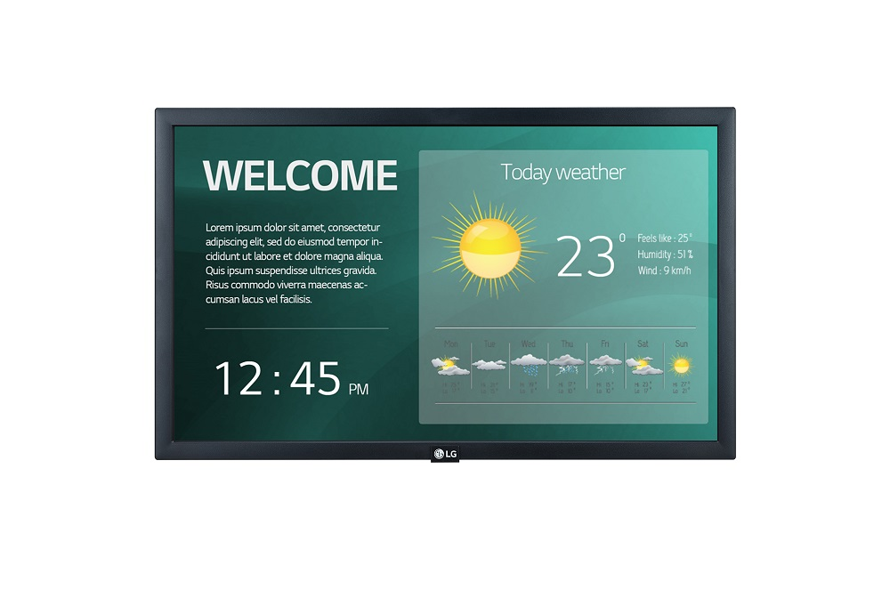 Professional panel LG 22SM3G