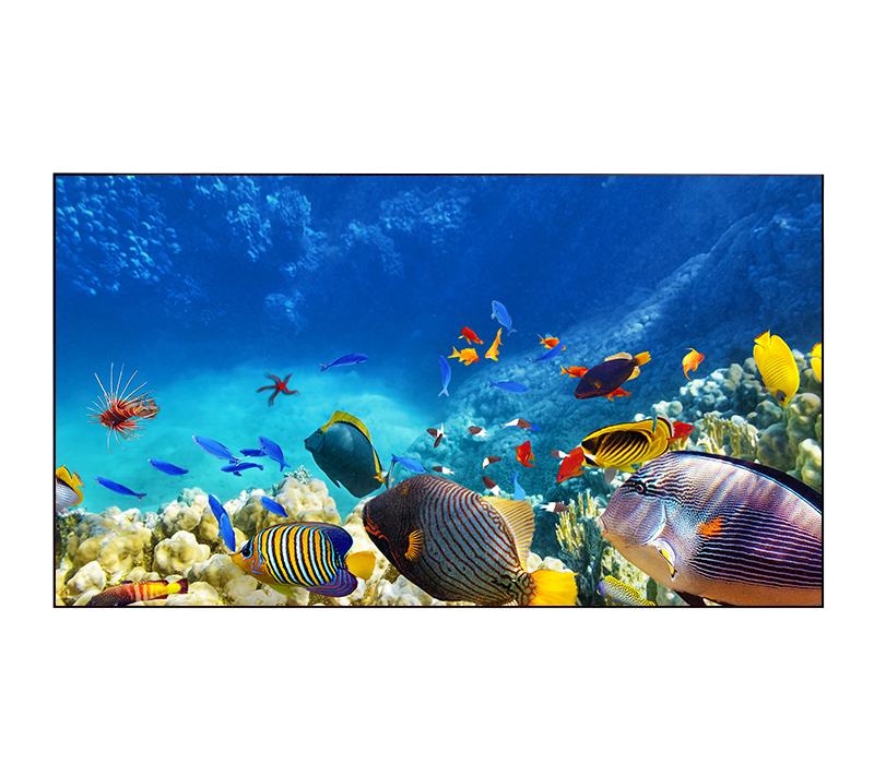 Professional panel EliteBoard BK557FDLE