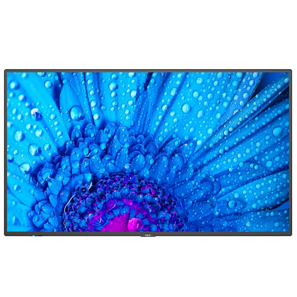 Professional panel NEC MultiSync M491