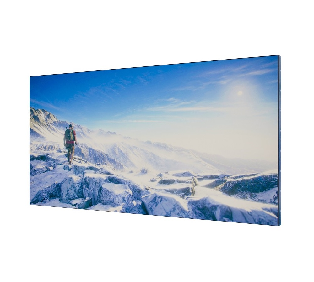 Professional panel iVi 55ULS3