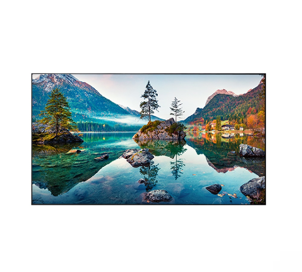 Professional panel Vestel WU55B-2H