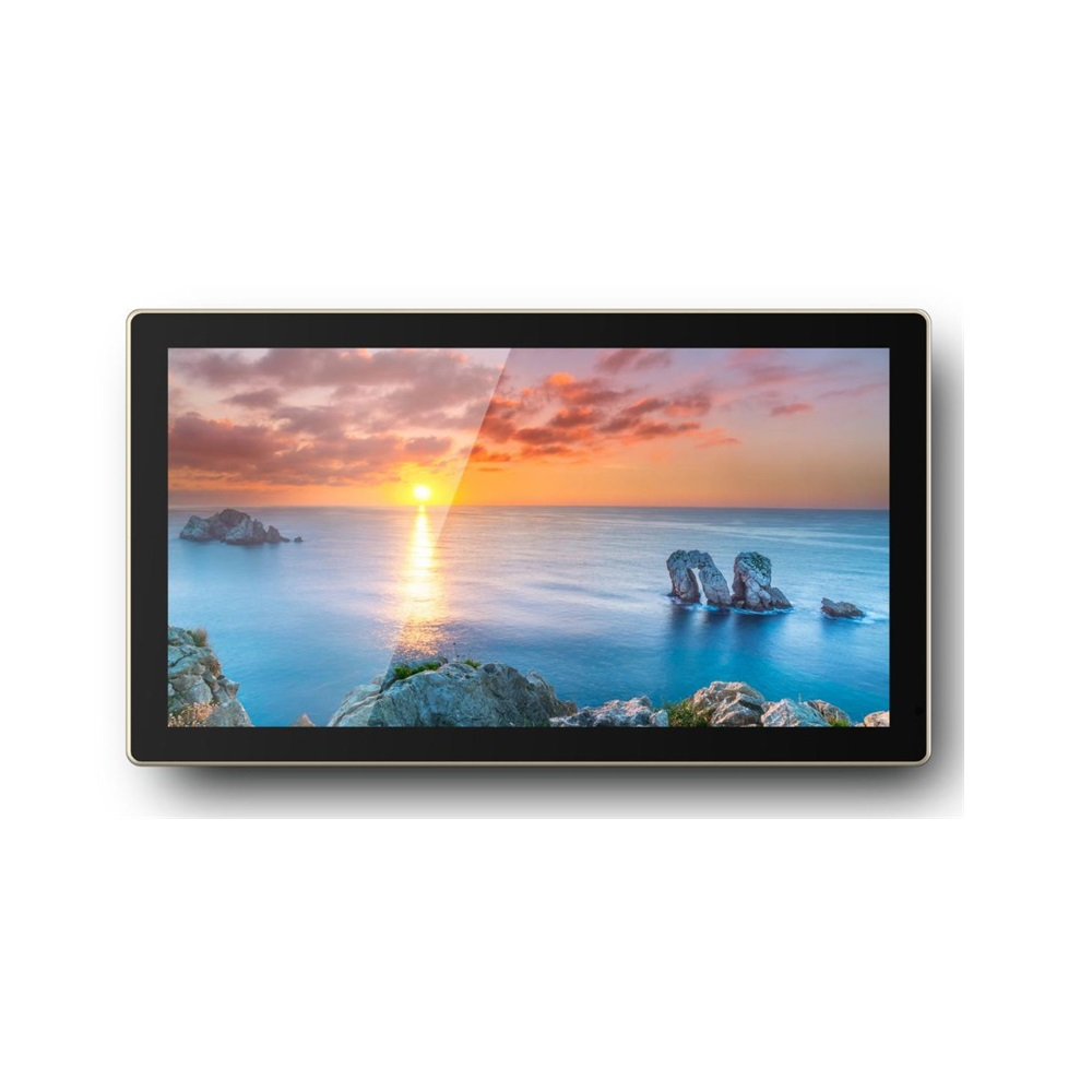 Профессиональная панель Goodview 22" DS display TC22S1