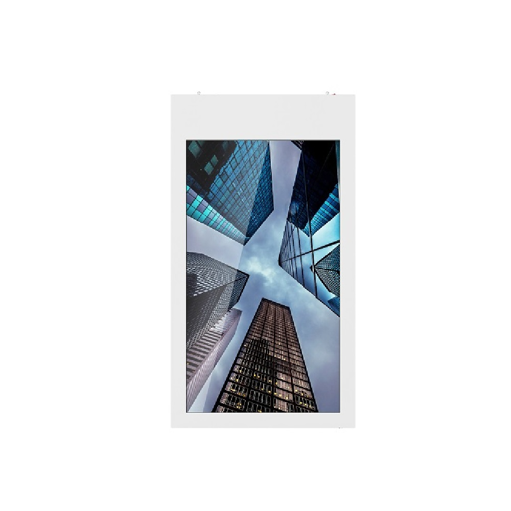 Профессиональная двусторонняя панель GoodView 55" double-sided DS display D55H1
