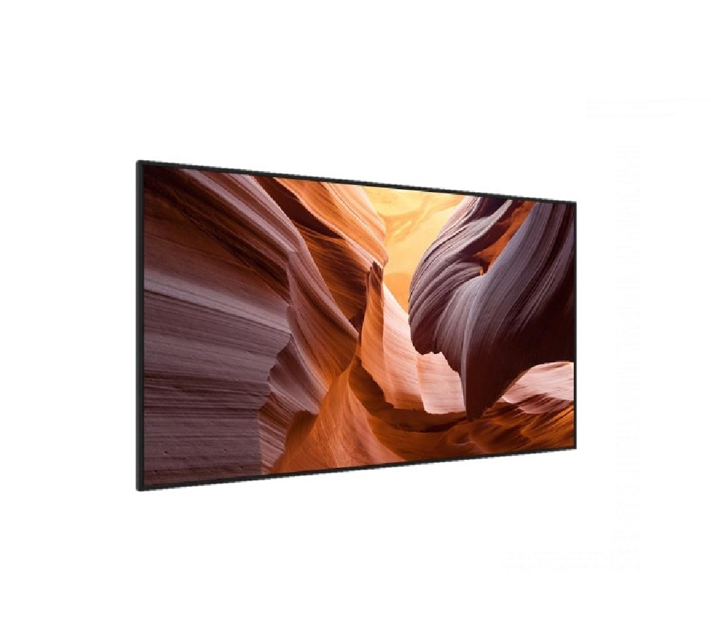 Professional panel BOE NK55G-EF250MB