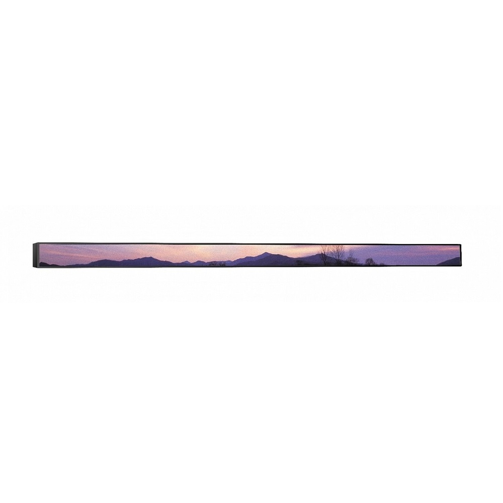 Professional panel BOE BM47A-HS