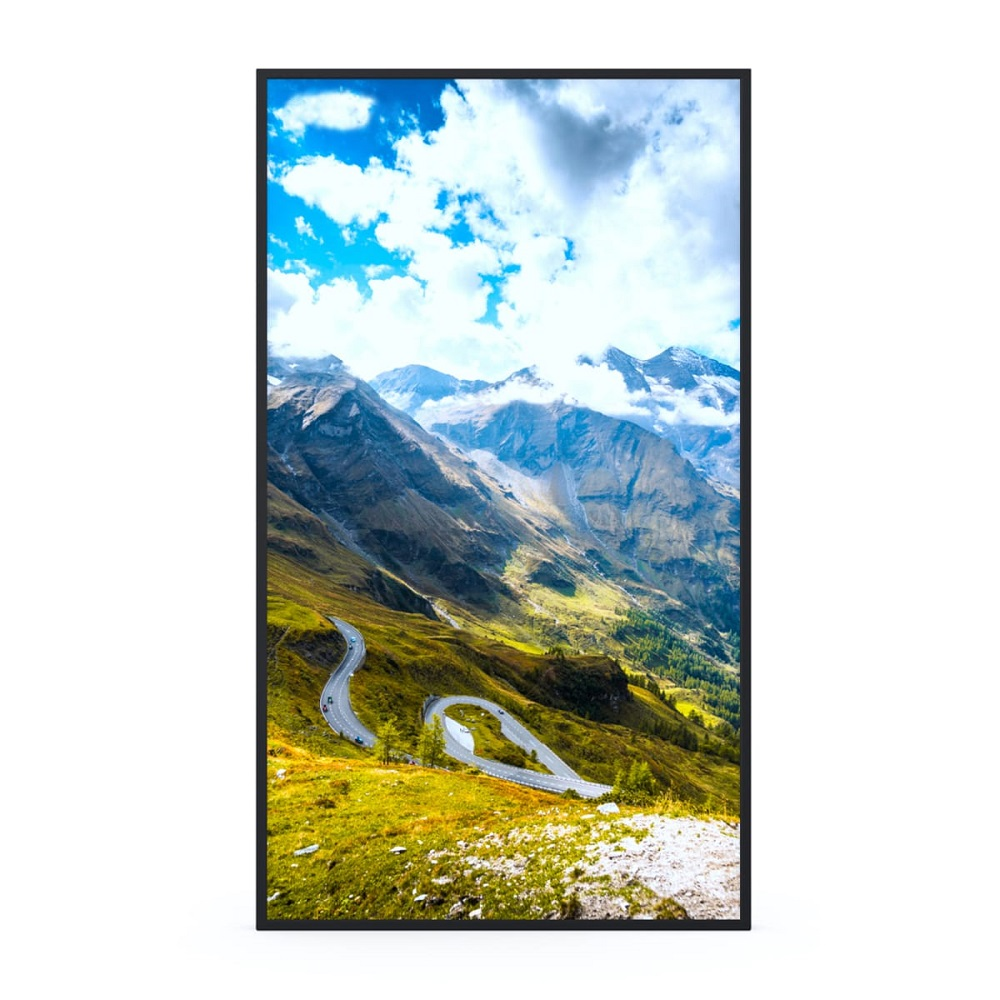 Профессиональная панель Hisense 49WF45H 49"