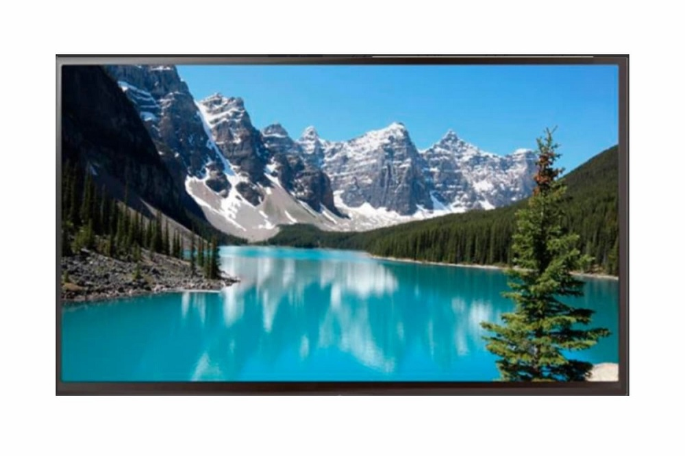 Профессиональная панель EWIN 43" DE43A