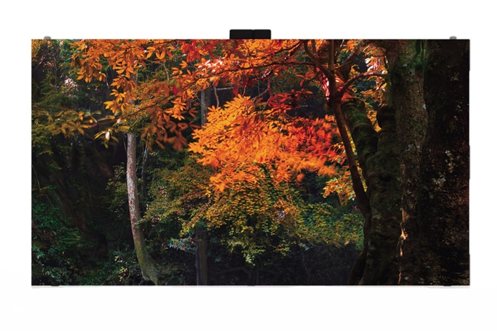 LG LAS025DB9-F LED displey