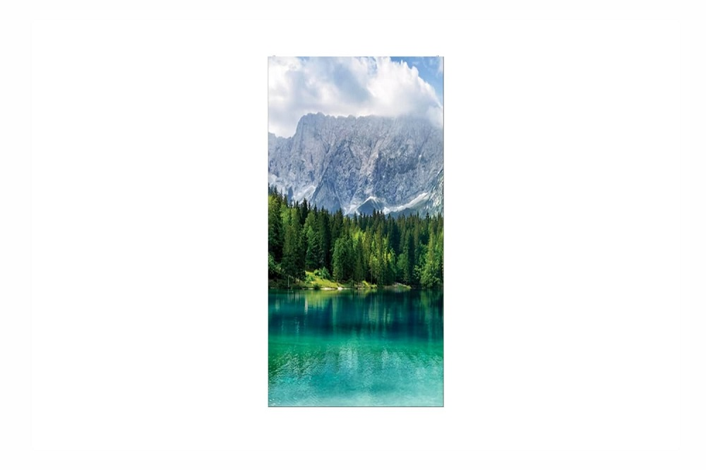 LED screen LG LAE039DD8