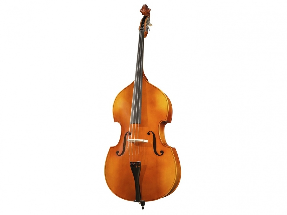 Контрабас студенческий Student laminated top, Hora