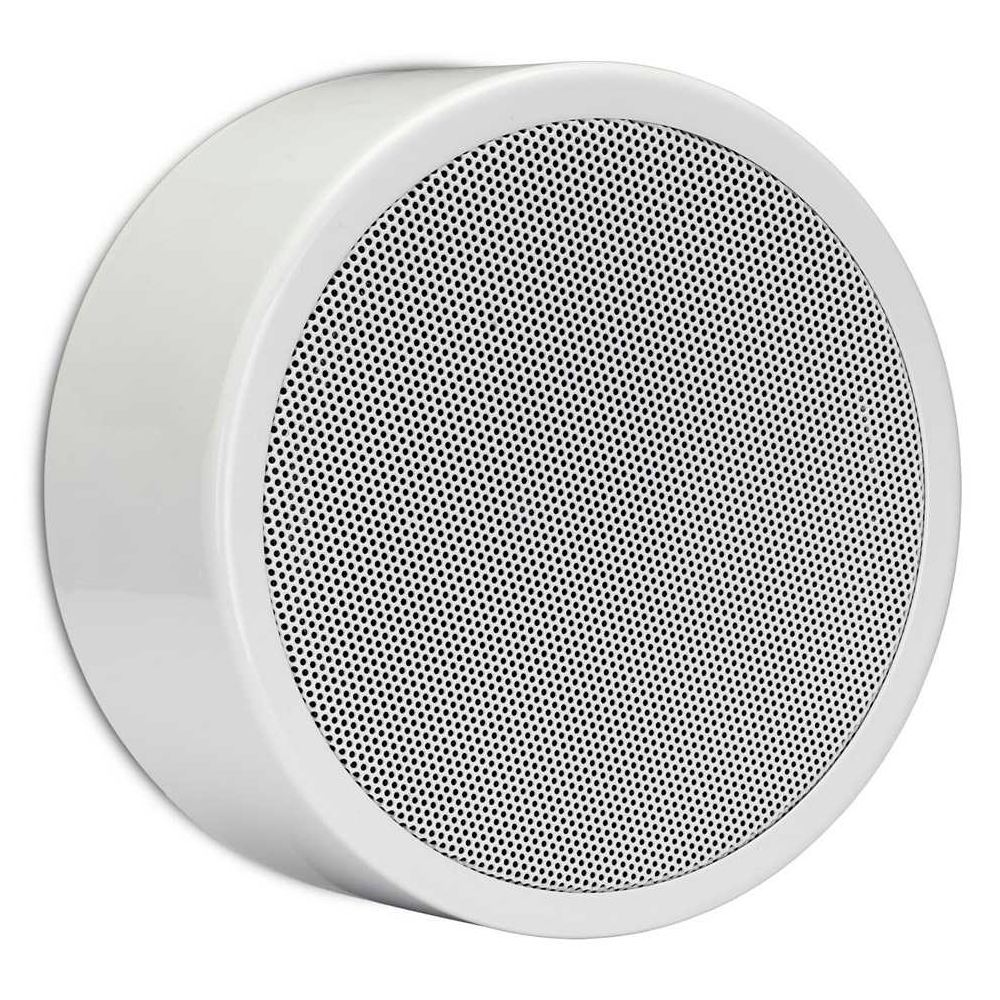 Настенная акустическая система BIAMP EN-SM6T10-W Apart