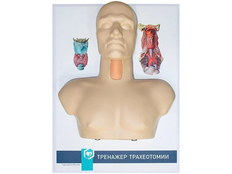 Traxeotomiya bo'yicha murabbiy Zarnitza
