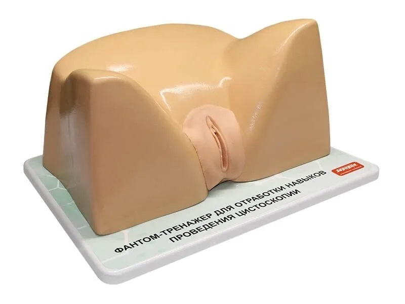 Cystoscopy skills training simulator Zarnitza