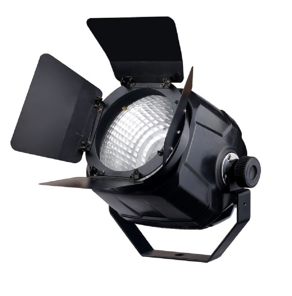 Floodlight Exell Lighting EXLPARCOB100