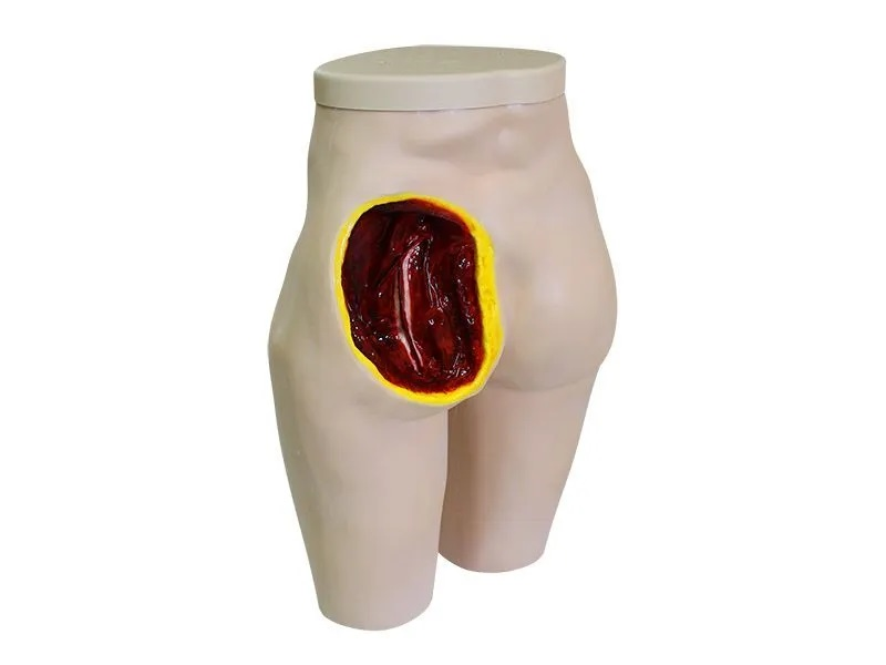 Simulator for teaching the technique of intramuscular injections Zarnitza
