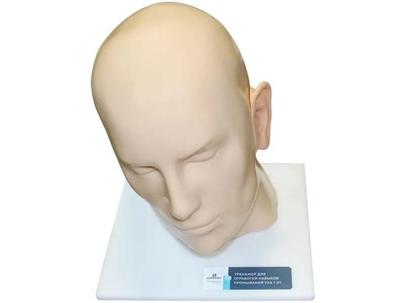 Simulator for practicing ear rinsing skills Zarnitza 1.01