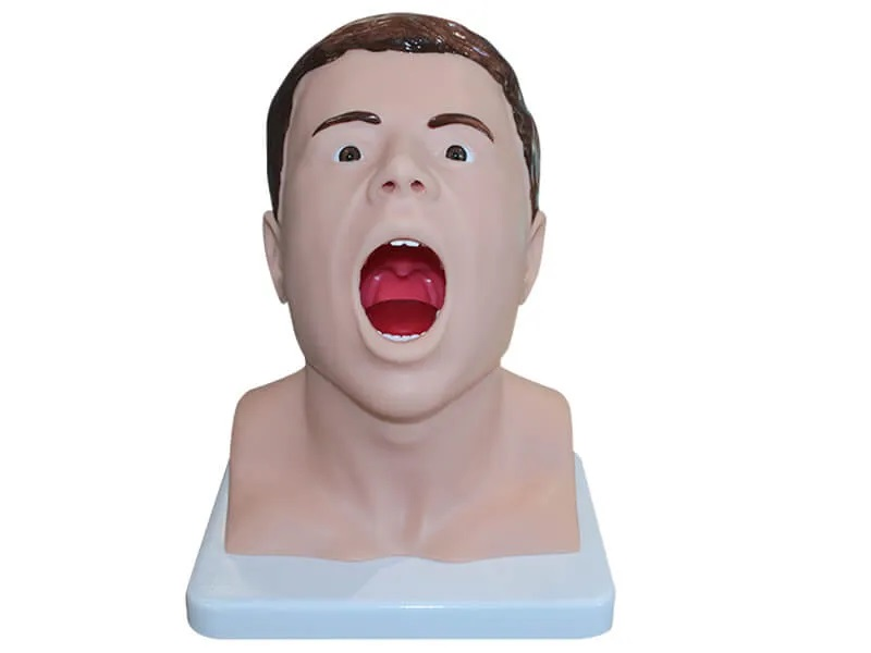 Zarnitza throat swab simulator