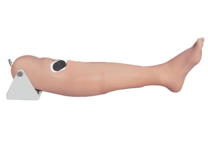 Intraosseous injection trainer Zarnitza