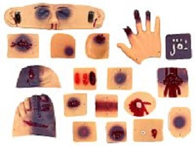 Simulators of wounds and lesions for a mannequin (18 wounds) Zarnitza