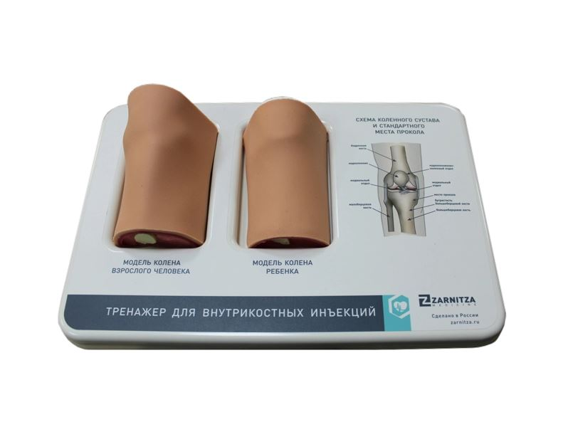 Combined simulator for intraosseous injections Zarnitza