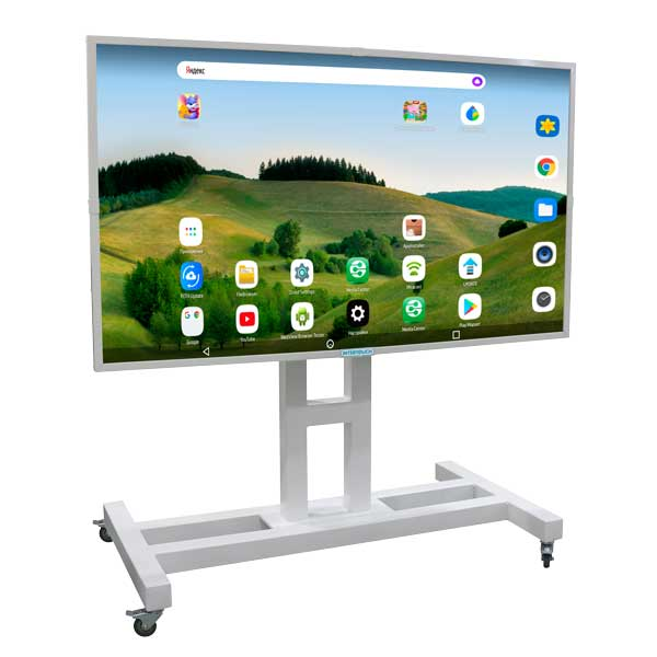 Интерактивная панель InterTouch 55" IP-55 AS с напольной мобильной стойкой