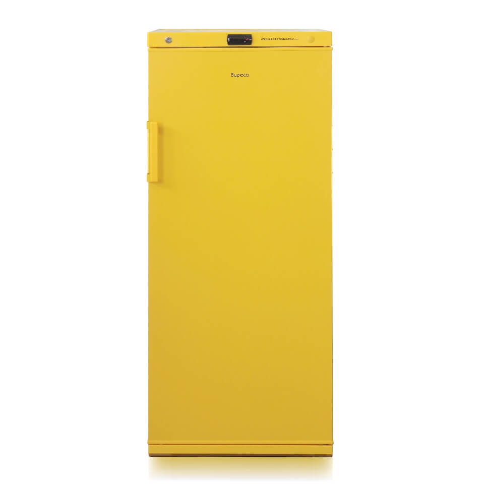 Refrigerator-freezer Biryusa 2506 for storing medical waste of class B (230 l, -25…+10 °C)