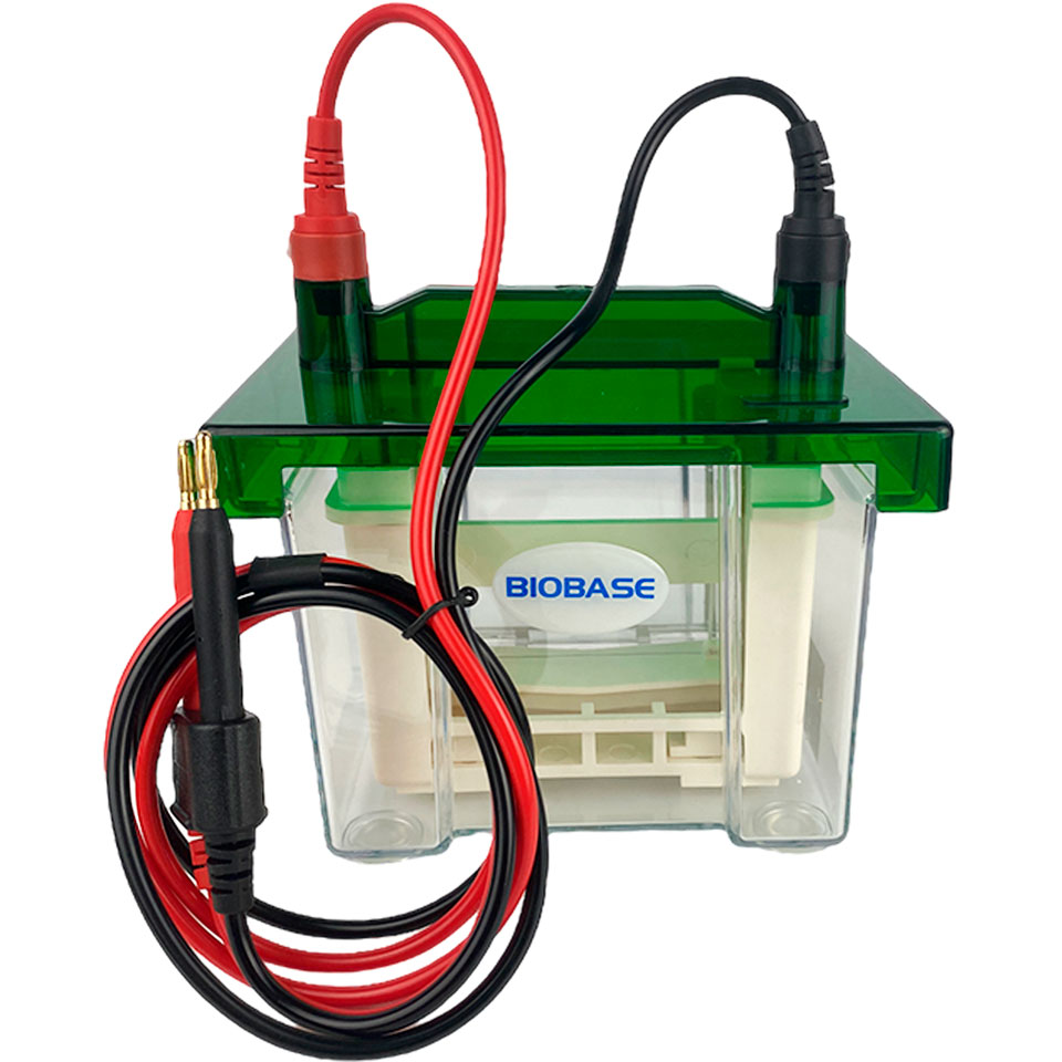 Vertikal elektroforez uchun Biobase BK-VET01 kamerasi (2 jelgacha)