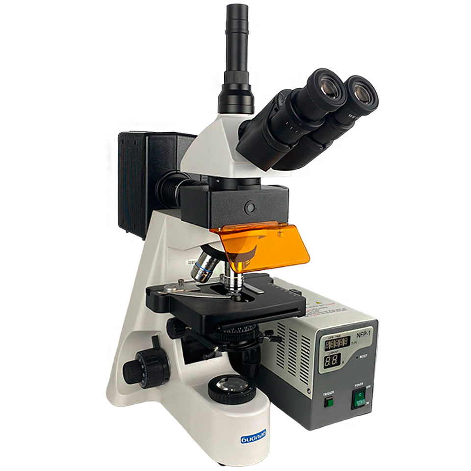 Biolab 12 LUM lyuminestsent mikroskop (trinokulyar, planaxromatik)