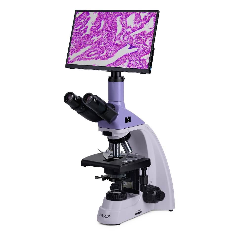 Mikroskop MAGUS Bio D250TL LCD biologik raqamli, san'at. 83011