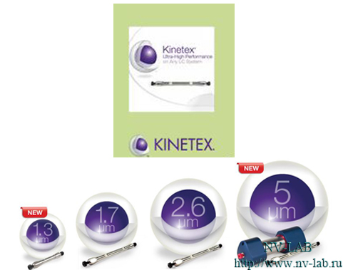Kinetex speakers