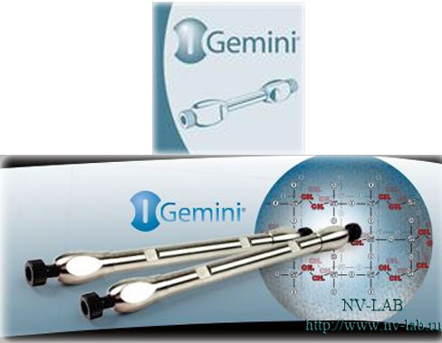 Gemini speakers