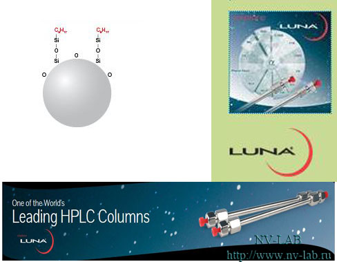 Luna speakers