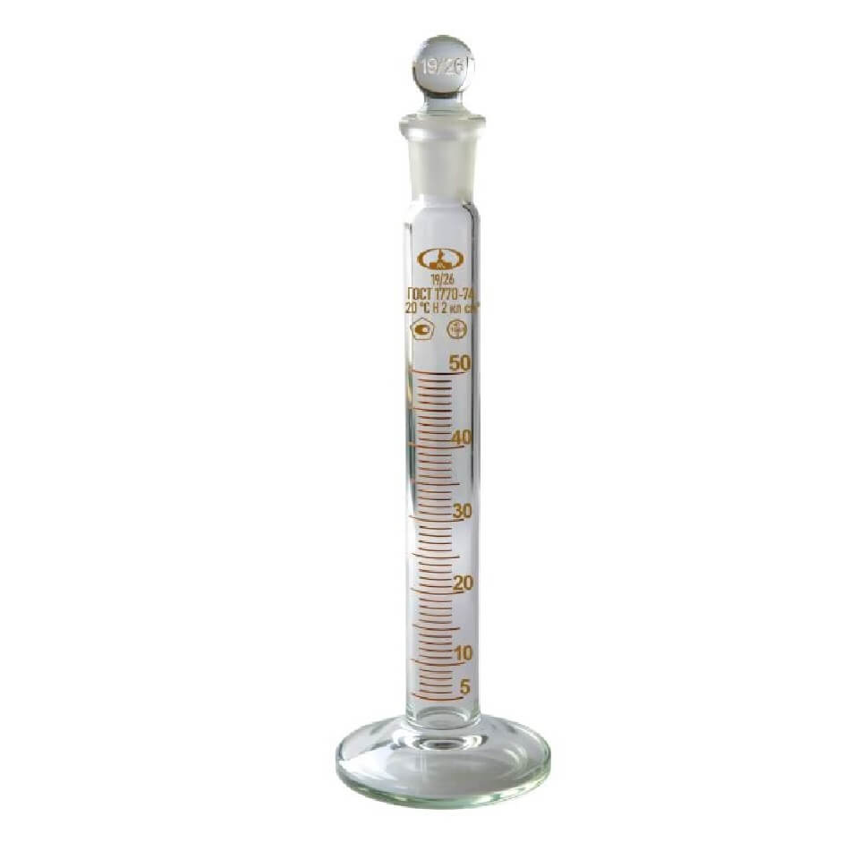 Silindr (2-versiya) shisha asosda, shina bilan. qo'ziqorin
