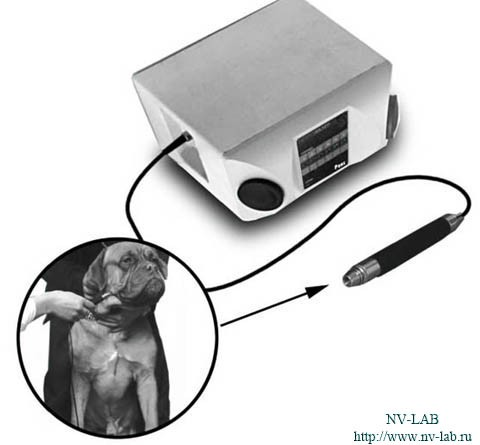 Laser therapeutic complex "REX"