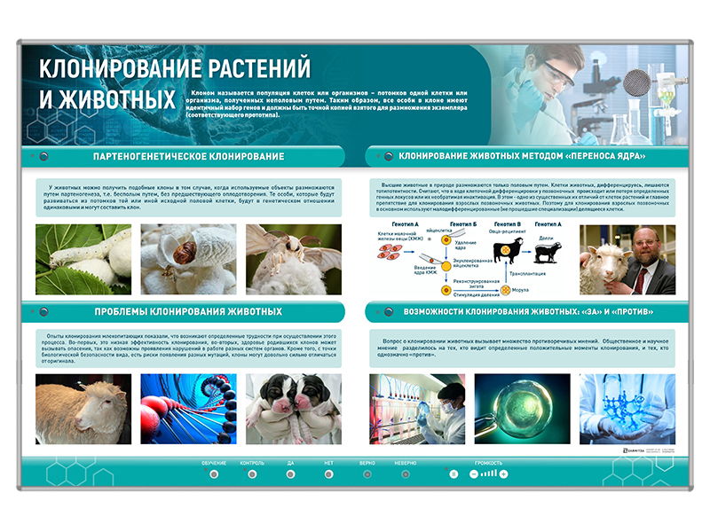Сборный электрифицированный стенд "Клонирование растений и животных" Zarnitza