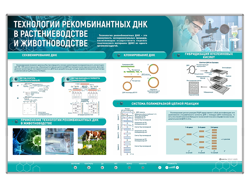 Сборный электрифицированный стенд "Технологии рекомбинантных ДНК в растениеводстве и животноводстве" Zarnitza