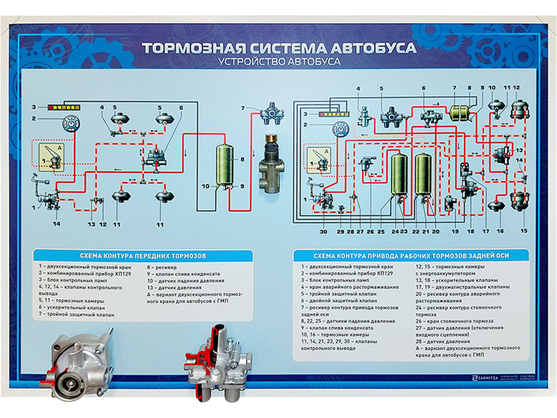 Стенд с разрезными агрегатами "Тормозная система автобуса" Zarnitza