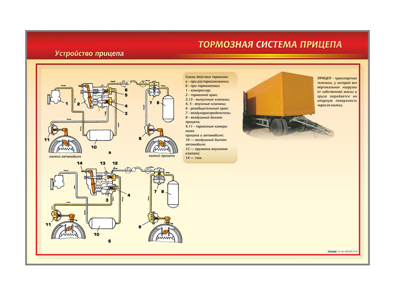 Стенд с разрезными агрегатами "Тормозная система прицепа" (категория "C") Zarnitza