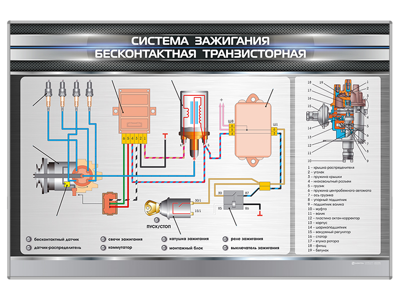 Электрифицированный светодинамический стенд "Система зажигания бесконтактная транзисторная" Zarnitza