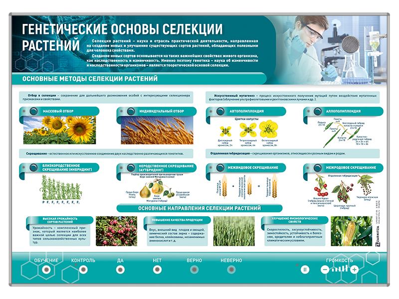 Электрифицированный стенд "Генетические основы селекции растений" Zarnitza